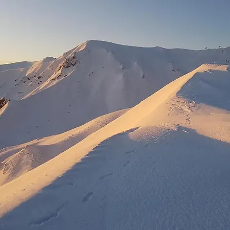 Résidence Les Pâquerettes N3 Appartamento *